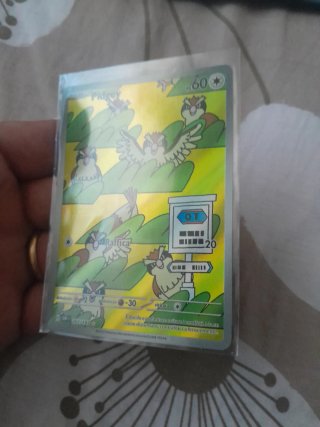 Carte Pokémon Pidgey Base