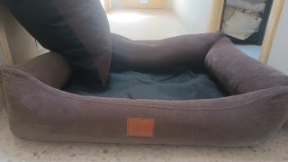 Cama para mascotas