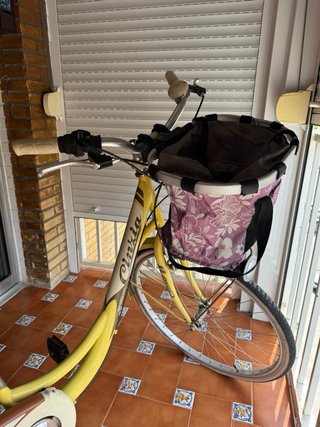 Bicicleta Paseo Cinzia Deco Ville Beige