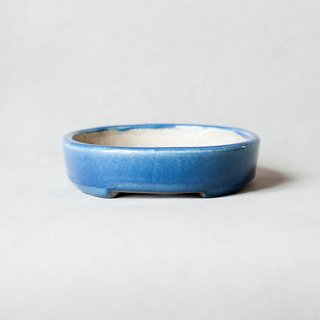 Maceta Bonsái Japonesa - TERAHATA SATOMI - 16cm