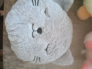 Lote ganga 4 peluches: aguacate, cerdo,  2 gatos