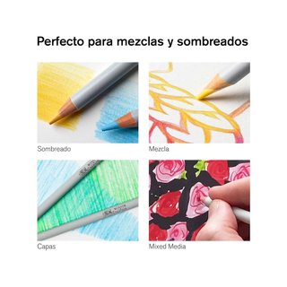 Winsor & Newton matite colorate per artisti