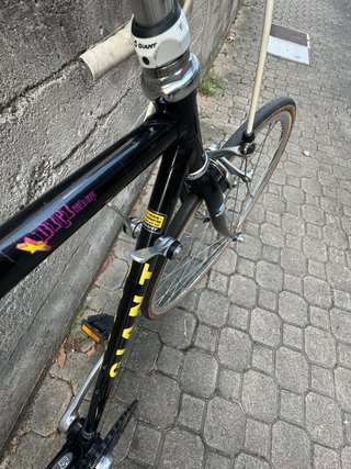 Bici Corsa Vintage Giant Tg. 50