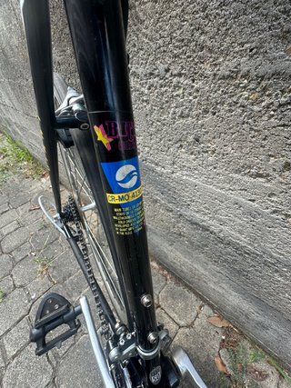 Bici Corsa Vintage Giant Tg. 50