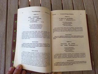 Decimo Canto Śrīmad Bhāgavatam Il summum bonum