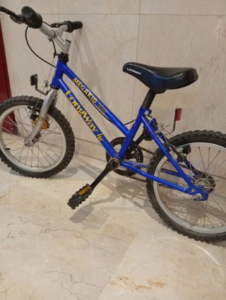 Bicicleta infantil Longway Megakid 160