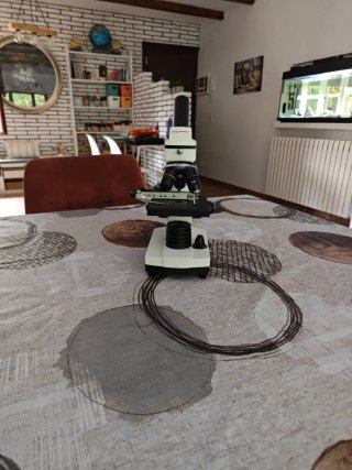 Microscopio Solomark con Accesorios