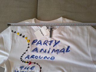 Camiseta Desigual Party Animal Around The World
