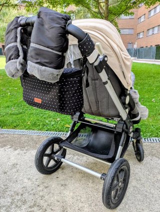 Bugaboo Camaleon