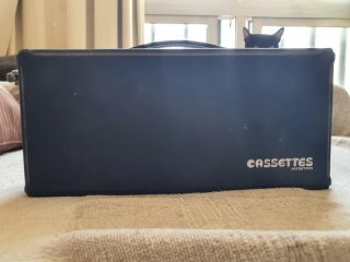 Lote 15 Cassettes Vintage + Estuche