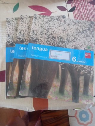 Libros de Lengua de 6° primaria.Trimestrales.