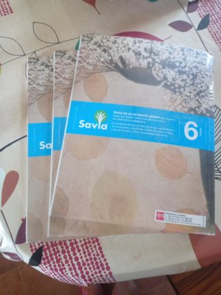 Libros de Lengua de 6° primaria.Trimestrales.