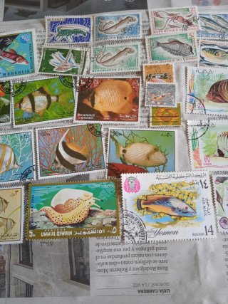 Lote Sellos Peces - Décadas 60 - 70.