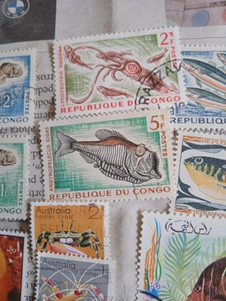 Lote Sellos Peces - Décadas 60 - 70.