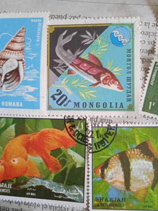 Lote Sellos Peces - Décadas 60 - 70.
