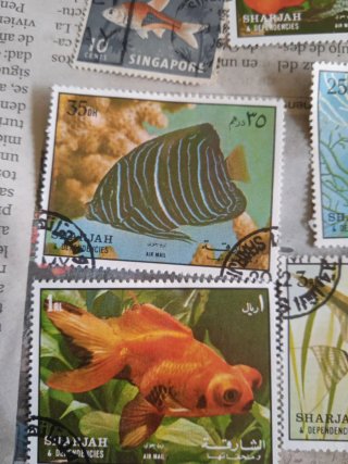 Lote Sellos Peces - Décadas 60 - 70.