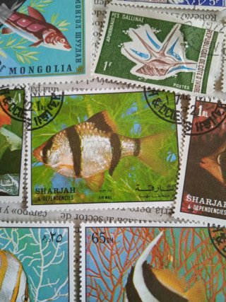 Lote Sellos Peces - Décadas 60 - 70.