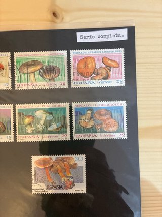 Serie sellos España Setas