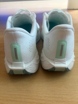 Zapatillas Nike Pegasus Plus