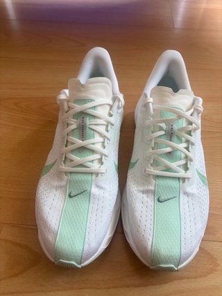 Zapatillas Nike Pegasus Plus