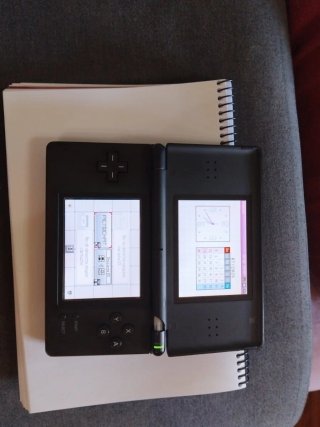 Nintendo DS Negra