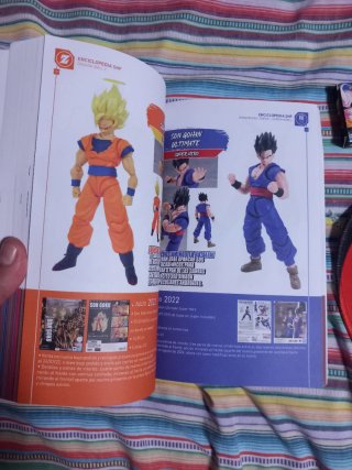 Lote Dragon Ball (libro,cartas,alfombrilla)