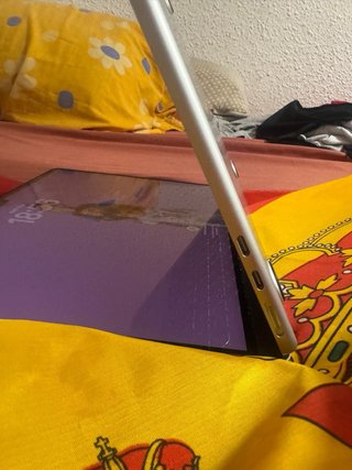 Apple Macbook Plata