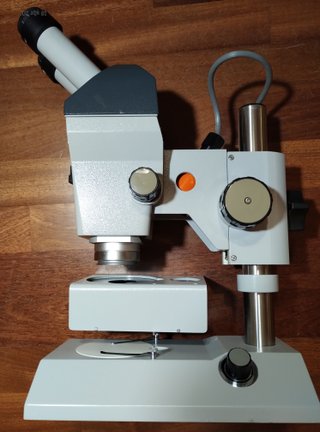 Estereomicroscopio Zeiss gama alta