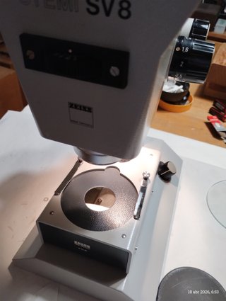Estereomicroscopio Zeiss gama alta