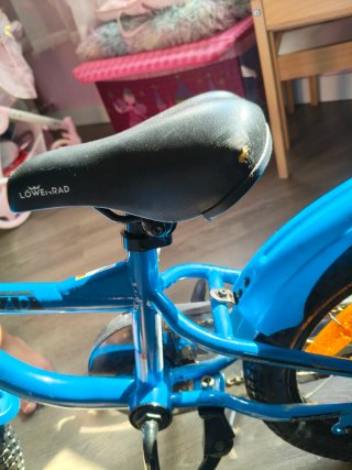 Bicicleta Infantil Lowenrad 14