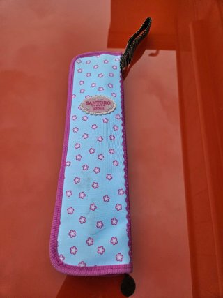 Flauta dulce con funda