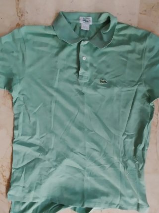 Lote 10 Polos Burberry, Lacoste, Ralph lauren