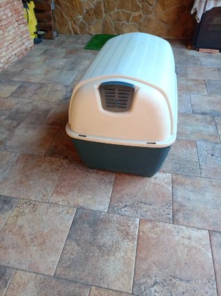 Caseta para perros beige y verde