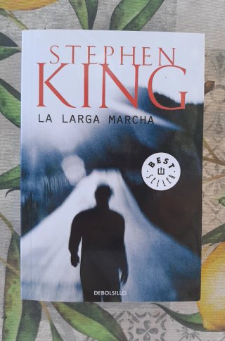 Lote de libros Stephen King
