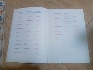 PROLEC-euskara. Irakurtzeko prozesuen e aluazioa.