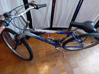 Bicicleta FREE QUER azul y blanca