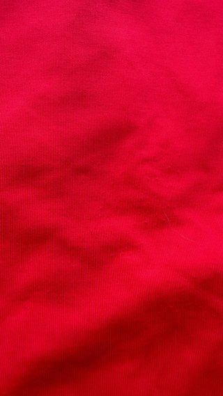 Chaqueta Reebok Roja con Capucha