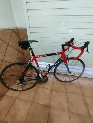 Bicicleta Carretera Ditec Carboni