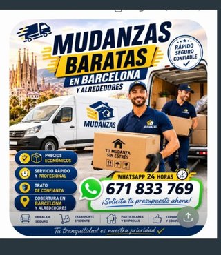 Mudanzas Profesional