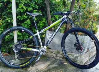 Bicicleta Cannondale Carbono 29