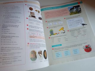 Libro Trimestre 1° Lengua castellana 6° Primaria