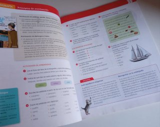 Libro Trimestre 1° Lengua castellana 6° Primaria