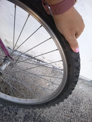 Bicicleta Niña Boomerang 24