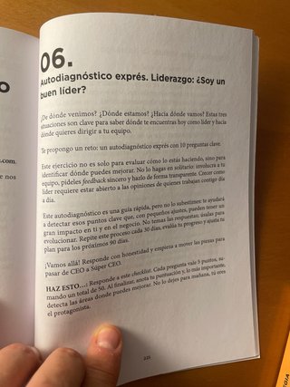 100 LECCIONES DE CEO PARA MEJORAR TU LODERAZGO