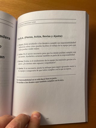 100 LECCIONES DE CEO PARA MEJORAR TU LODERAZGO
