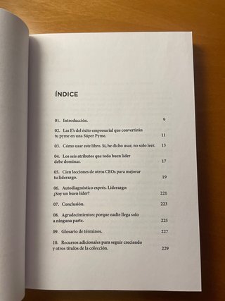 100 LECCIONES DE CEO PARA MEJORAR TU LODERAZGO