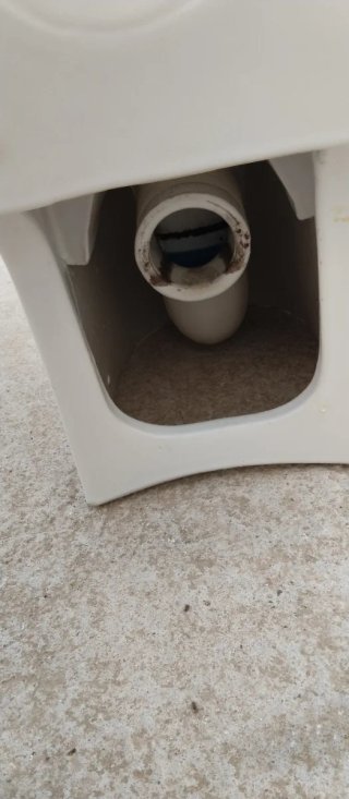 Taza Inodoro Roca Meridian+ Asiento+Tapa cisterna