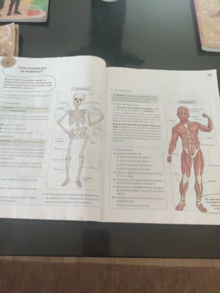 Ciencias da Natureza 4