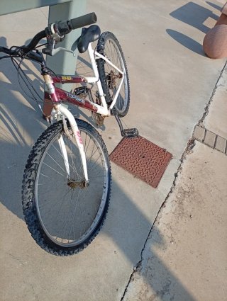 Bicicleta TOPBIKE 50