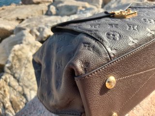 Metis hobo